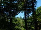 DSCN4791