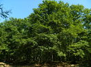 DSCN4792