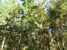 DSCN4818