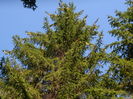 DSCN4826
