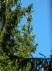 DSCN4828