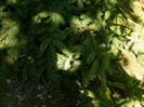 DSCN4832