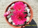 SAM_1070