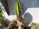 SAM_1072