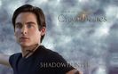 Alec Lightwood