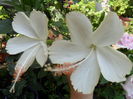 SAM_9557