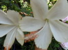 SAM_9558