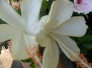 SAM_9560