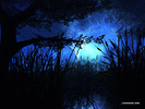 haunted_fen