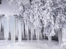 Icicles