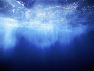PLUS! AQUARIUM2
