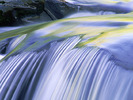 PLUS! NATURE2