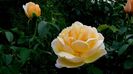 DSC03438