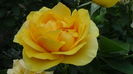 DSC03382