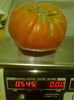 Fotografie0464[1]