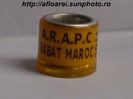 arapc rabat maroc 2014