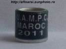 uampc maroc 2011
