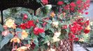 20150906_113359