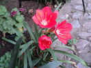 DSC03080
