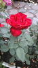 20150906_151629