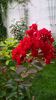 WP_20150904_055