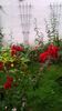 WP_20150904_057
