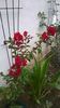 WP_20150905_025