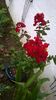 WP_20150905_026