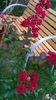 WP_20150904_053