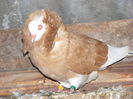 DSCF0163