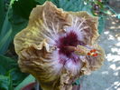 P1230931