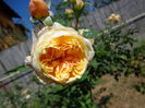 DSC09754