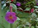 DSCN7158