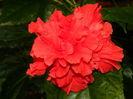 DSCN7167