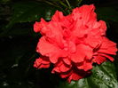 DSCN7169