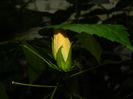 DSCN7170