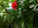 DSCN7174