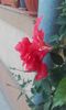 20150904_174030