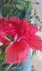 20150904_174046