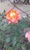 20150904_174158