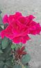 20150904_174209
