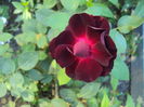 DSC05640