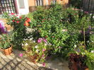 2 septembrie