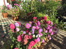 2 septembrie