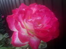 DOUBLE PARFUME