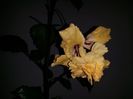 20150908_191654