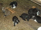 Picture 6691