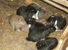 Picture 6693