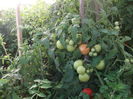 Picture 6705