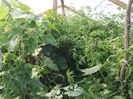Picture 6709